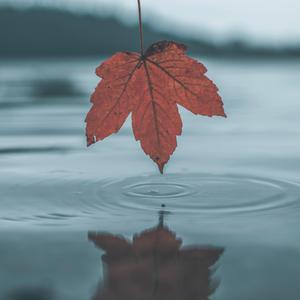 黑客家庭破解1000部免费更新时间
