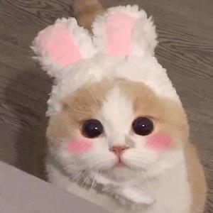 黑客家庭破解1000部免费更新时间
