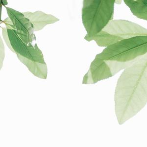 黑客家庭破解1000部免费更新时间
